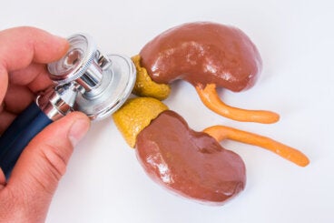 Aldosterona: qué es y por qué es tan importante para el cuerpo