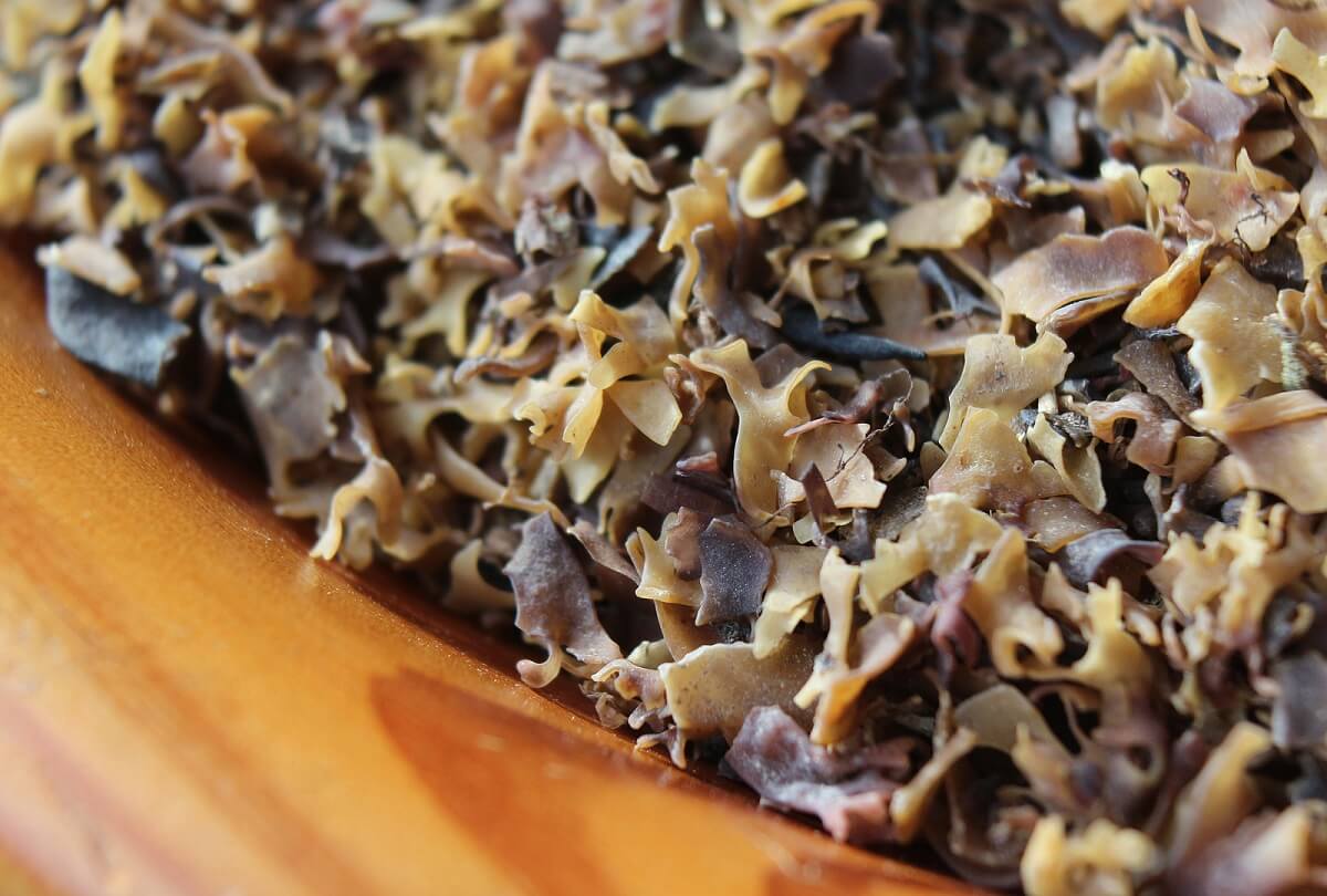 Nutrientes del musgo marino