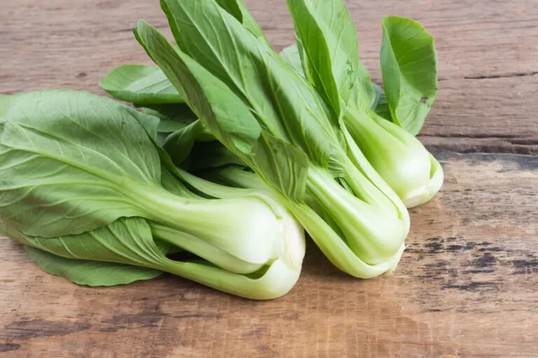 Pak choi o bok choy: beneficios, usos y recomendaciones