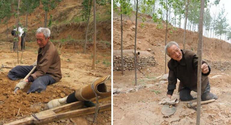 A sus 72 años y sin piernas ha plantado más de 17 000 árboles