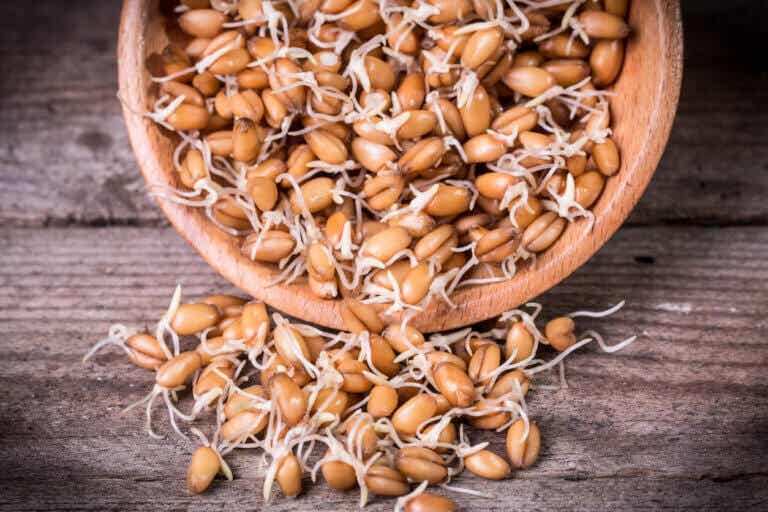Germinado de trigo: nutrición, propiedades y cómo prepararlo