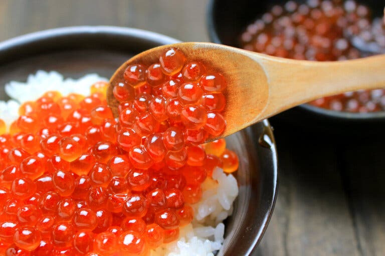 Ikura o huevas de salmón: ¿cuáles son sus beneficios?