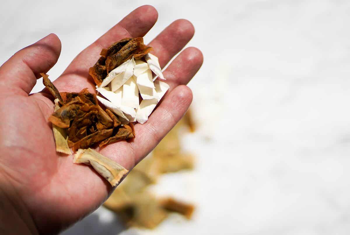 Distintas formas de consumir tabaco sin hum