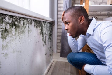 9 efectos del moho negro sobre la salud