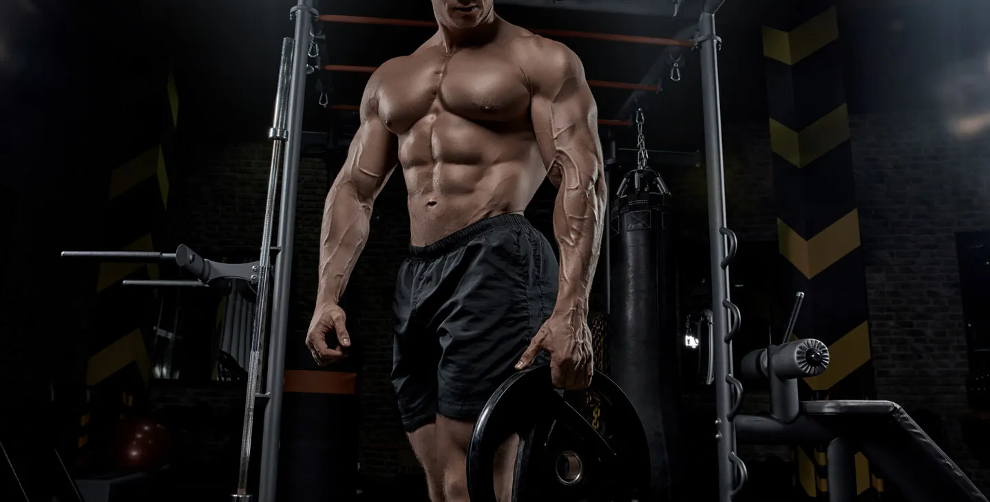 Crecimiento muscular en el gimnasio.
