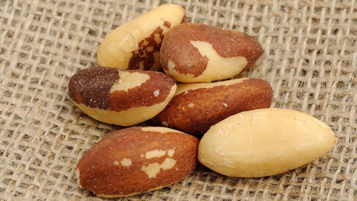Nueces de Brasilcon vitamina B1.