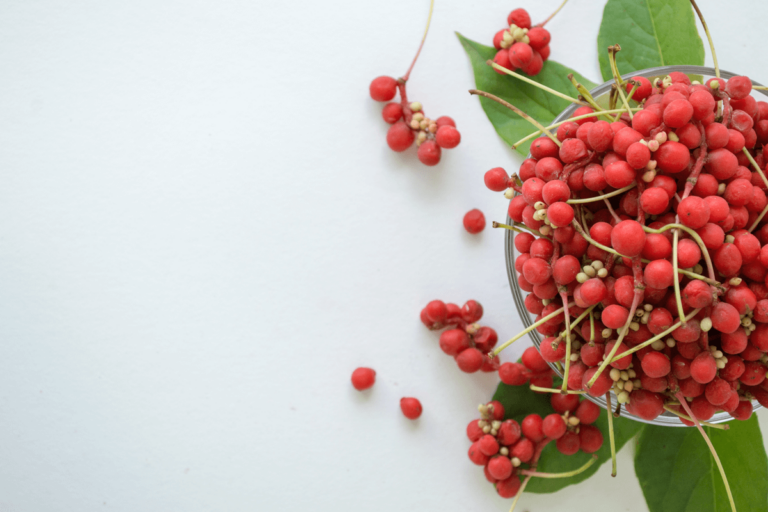 Schisandra: usos, beneficios y precauciones
