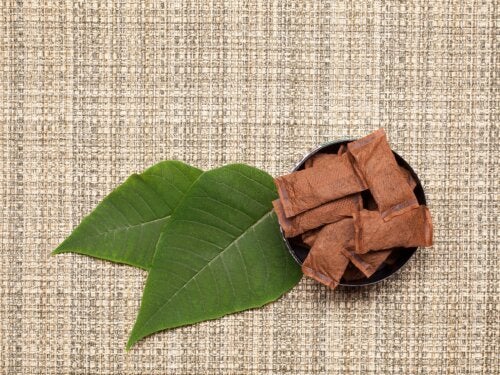 Tipos de tabaco sin humo y sus repercusiones en la salud