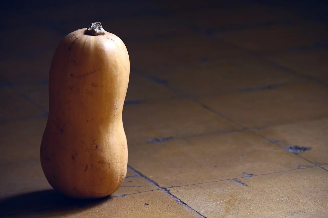 Citrouille.