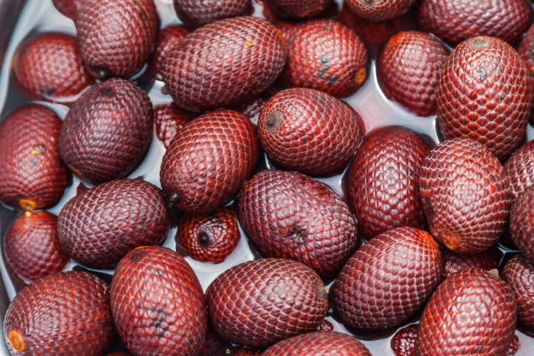 Aguaje, un fruto amazónico