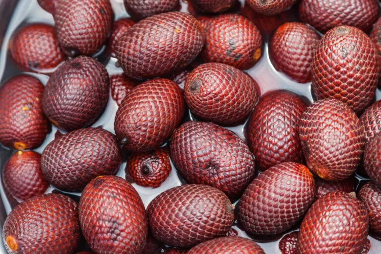 Aguaje, un fruto amazónico