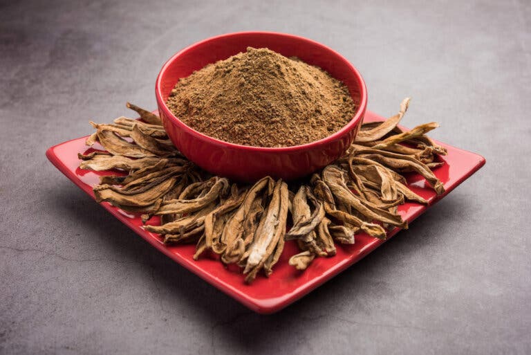 ¿Qué es y qué beneficios tiene el amchoor?