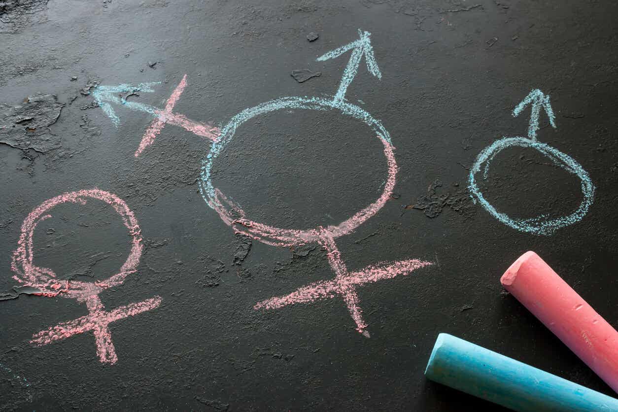 Los tipos de identidad de género y transsexualidad