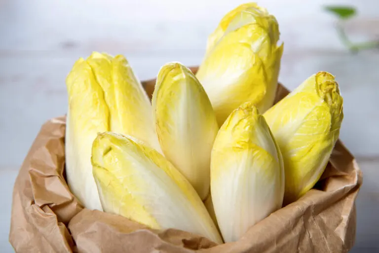 ¿Qué es la endivia? Nutrición, propiedades y cómo se cocina