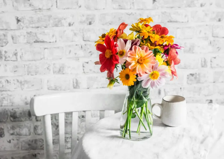 8 flores de otoño para sembrar en tu jardín