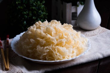 ¿Qué es el hongo de la nieve y para qué es utilizado?