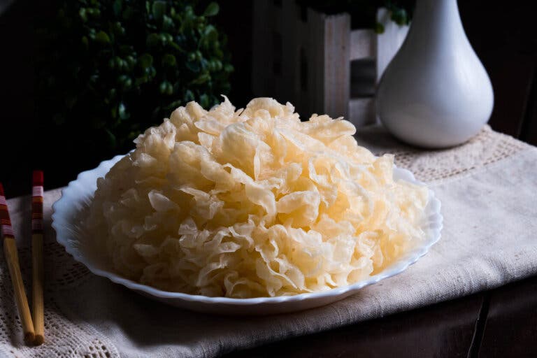 ¿Qué es el hongo de la nieve y para qué es utilizado?