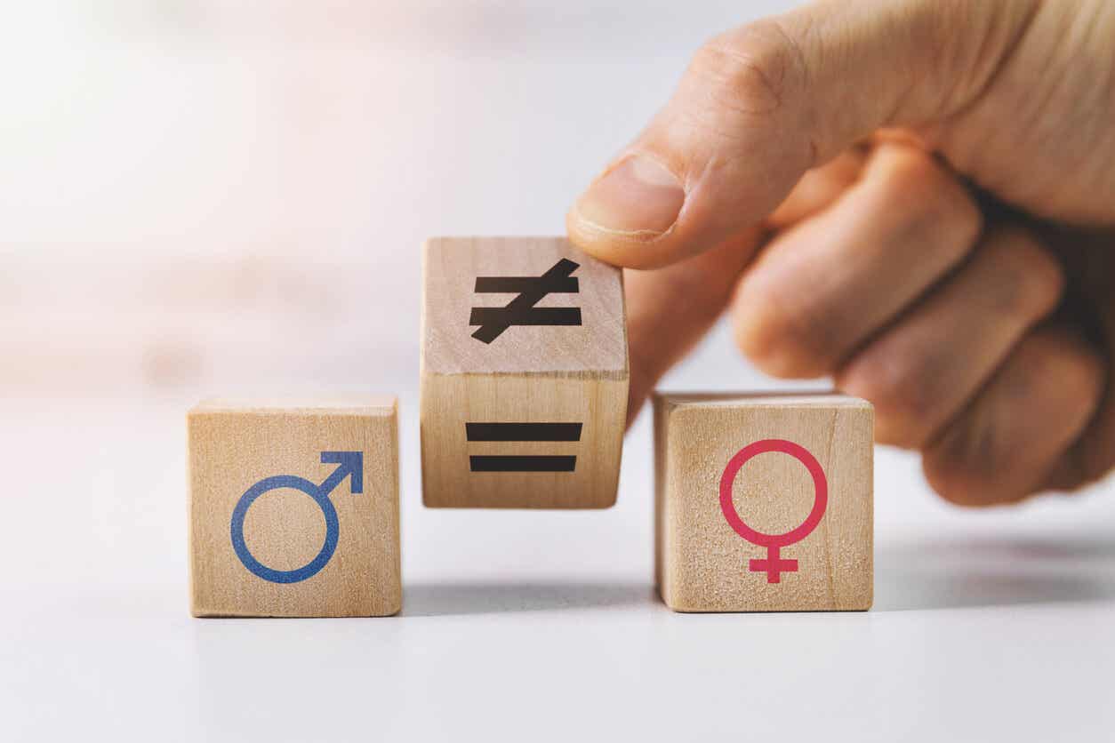 Sozialdarwinismus - Würfel mit Symbolen für das Weibliche und das Männliche