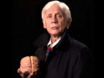 Famoso neurocientífico asegura que las personas fieles son las más inteligentes
