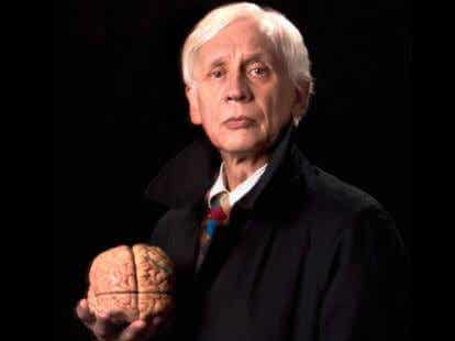 Famous neuroscientist ensures that faithful people are the smartest