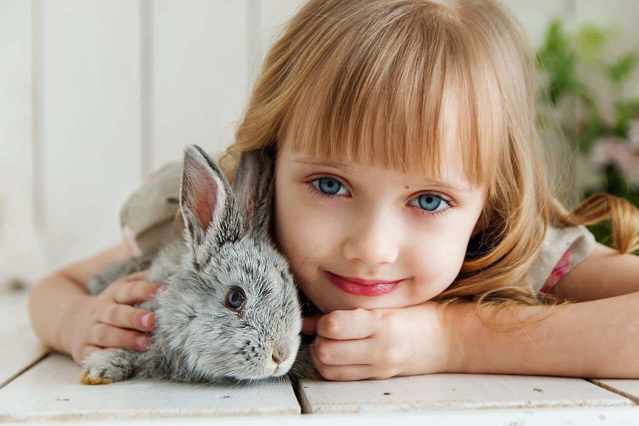 Маленькая девочка с кроликом как домашнее животное.