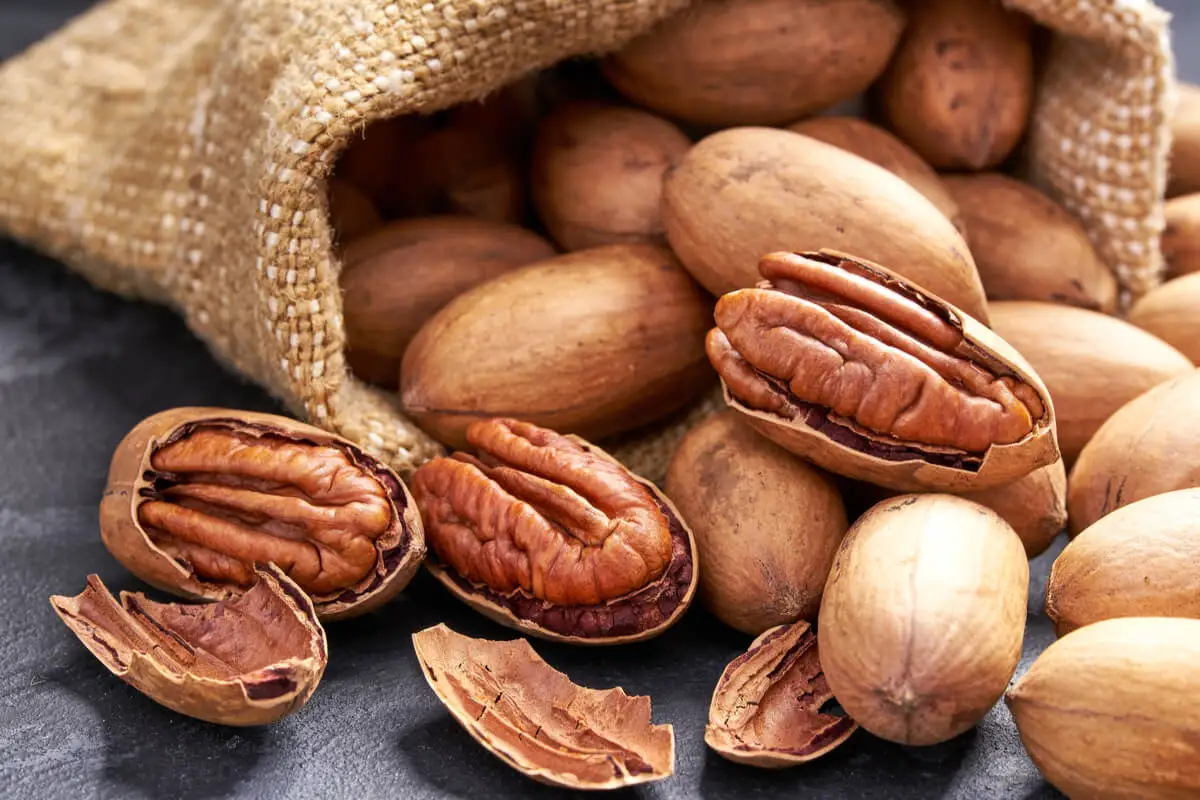 gesunde Snacks für Kinder - Nüsse