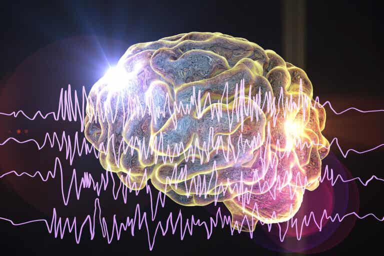 Los 5 tipos de ondas cerebrales