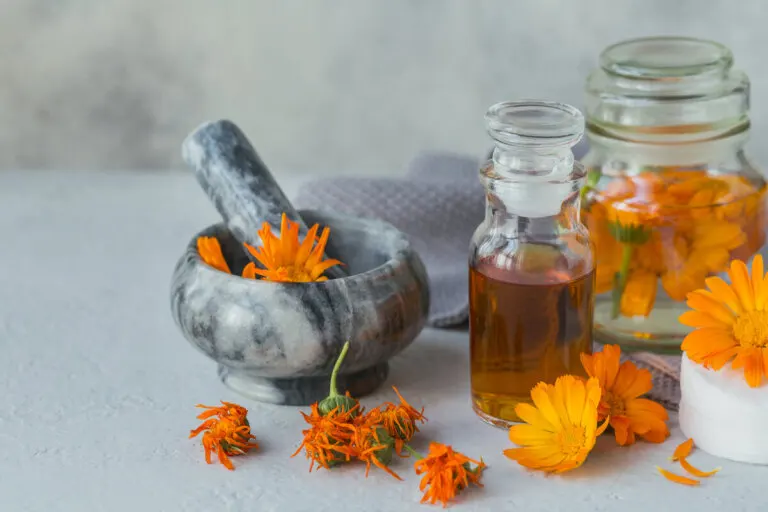 ¿Cómo preparar aceite de caléndula en casa? Usos y beneficios