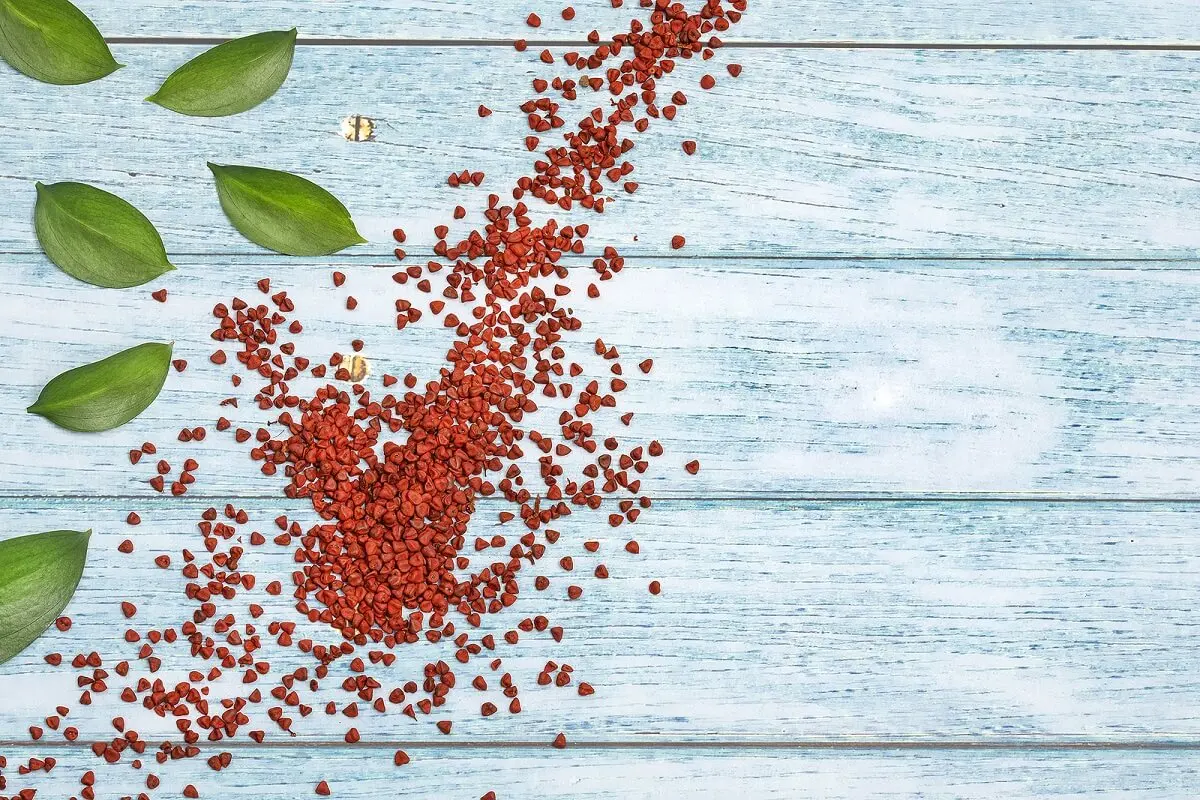 Principais usos do achiote