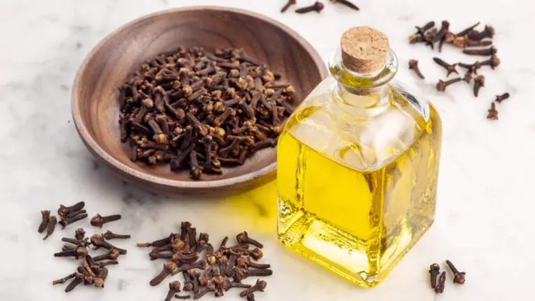 Aceite de clavo de olor: usos, beneficios y preparación en casa