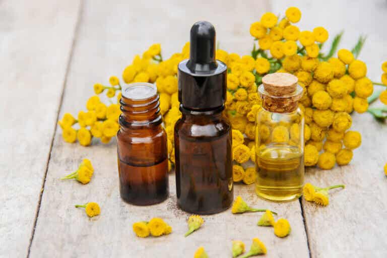 Blue tansy oil: uses in skin beauty