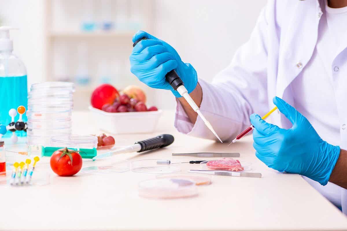 Gentechnisch veränderte Lebensmittel - Fleisch im Labor
