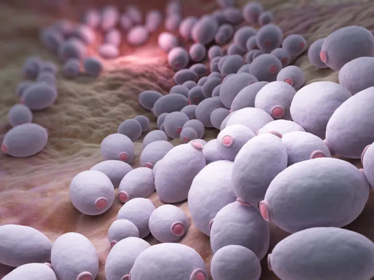 Candidiasis en el hombre: síntomas, causas y tratamiento