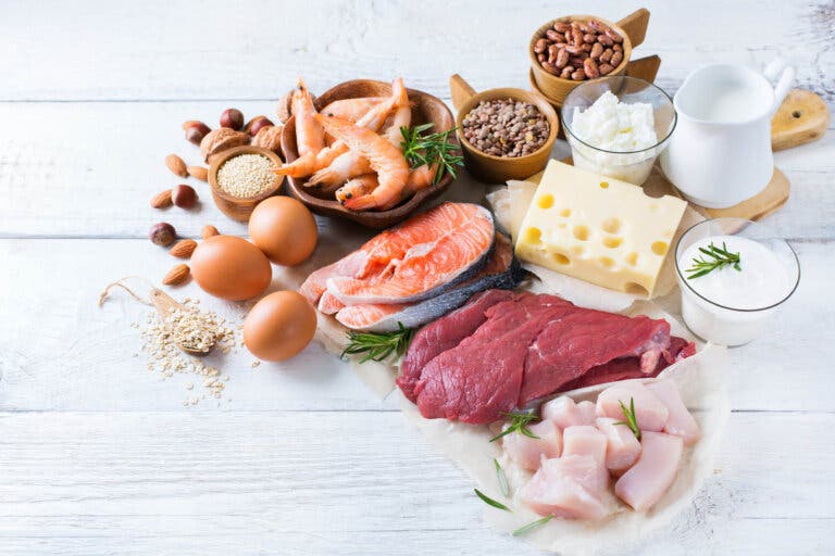 Alimentos constructores: ¿qué son y qué función cumplen?