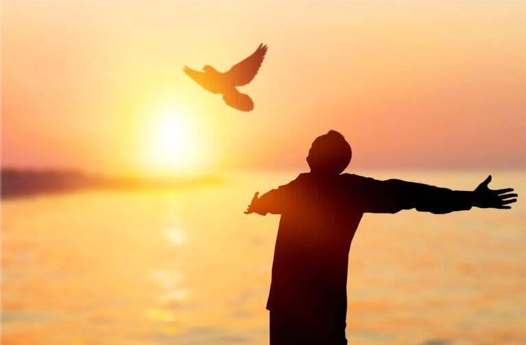 50 frases para reflexionar sobre la vida