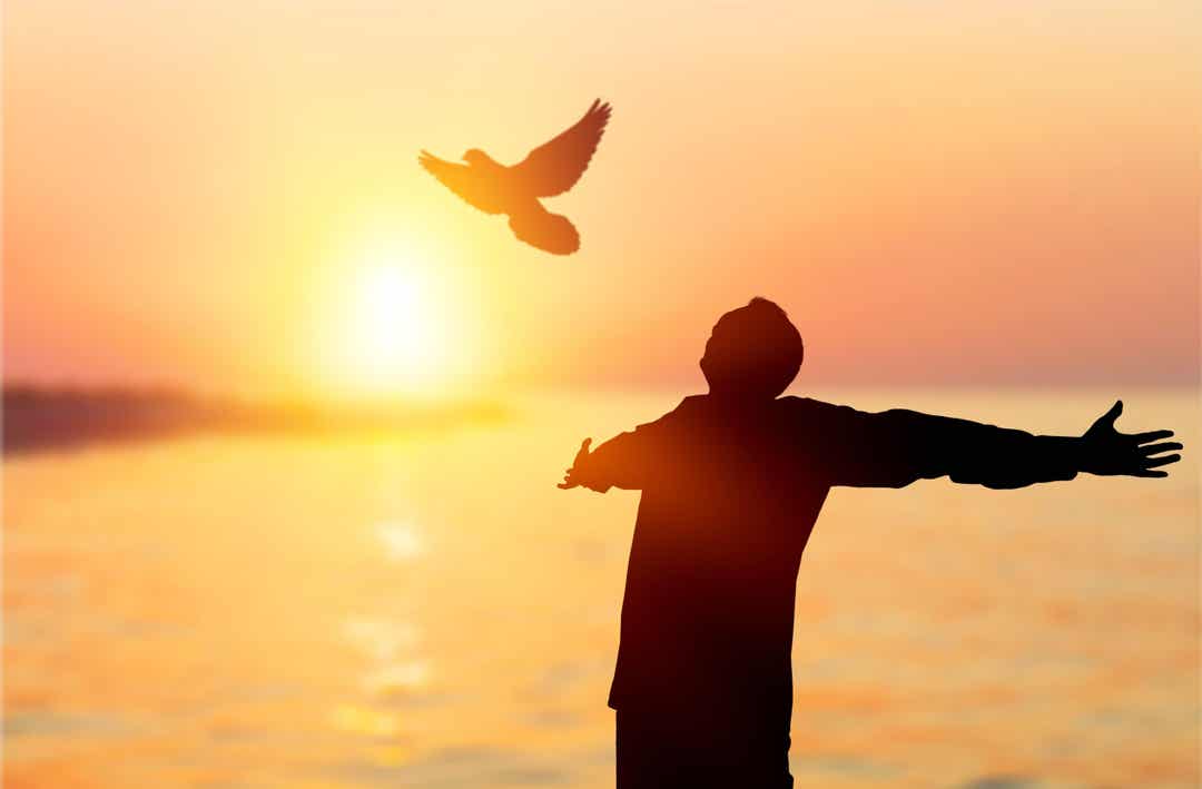 Necessidades Desnecessárias: O Que São E Como Evitá-Las? 5 Felicidade e realização.