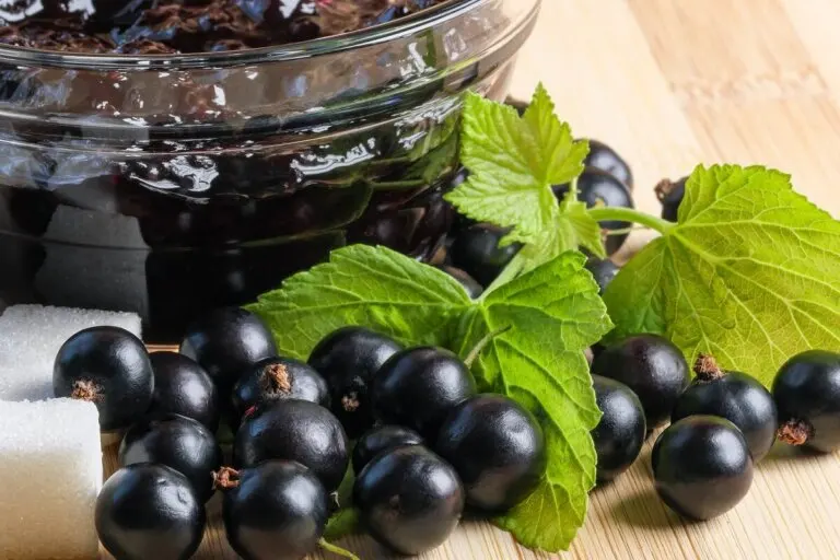 Cassis o grosella negra: usos, nutrición y propiedades
