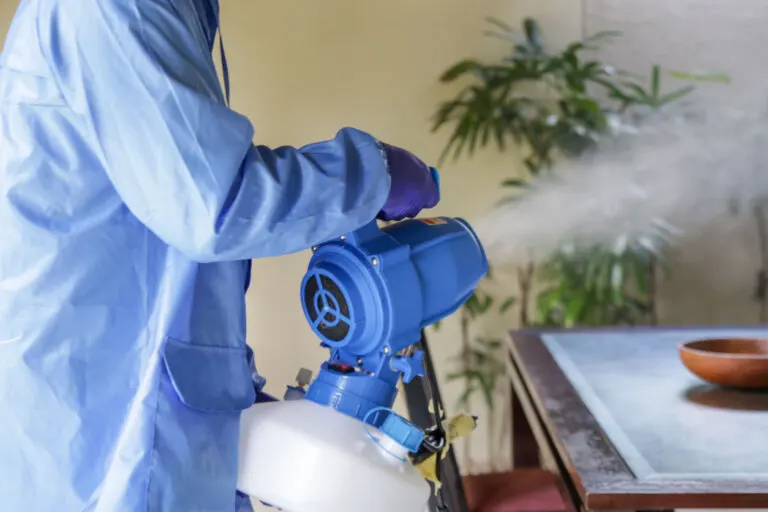 ¿Cómo limpiar después de una fumigación? Pasos y consejos
