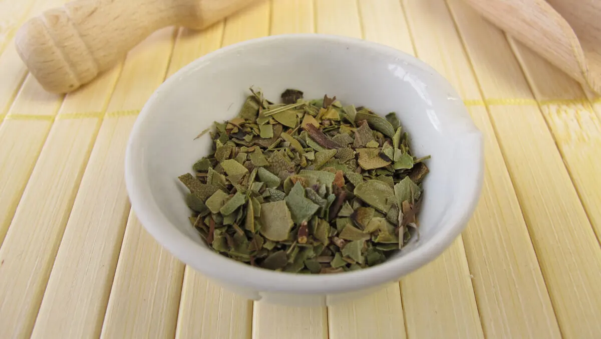 Preparado de uva ursi.