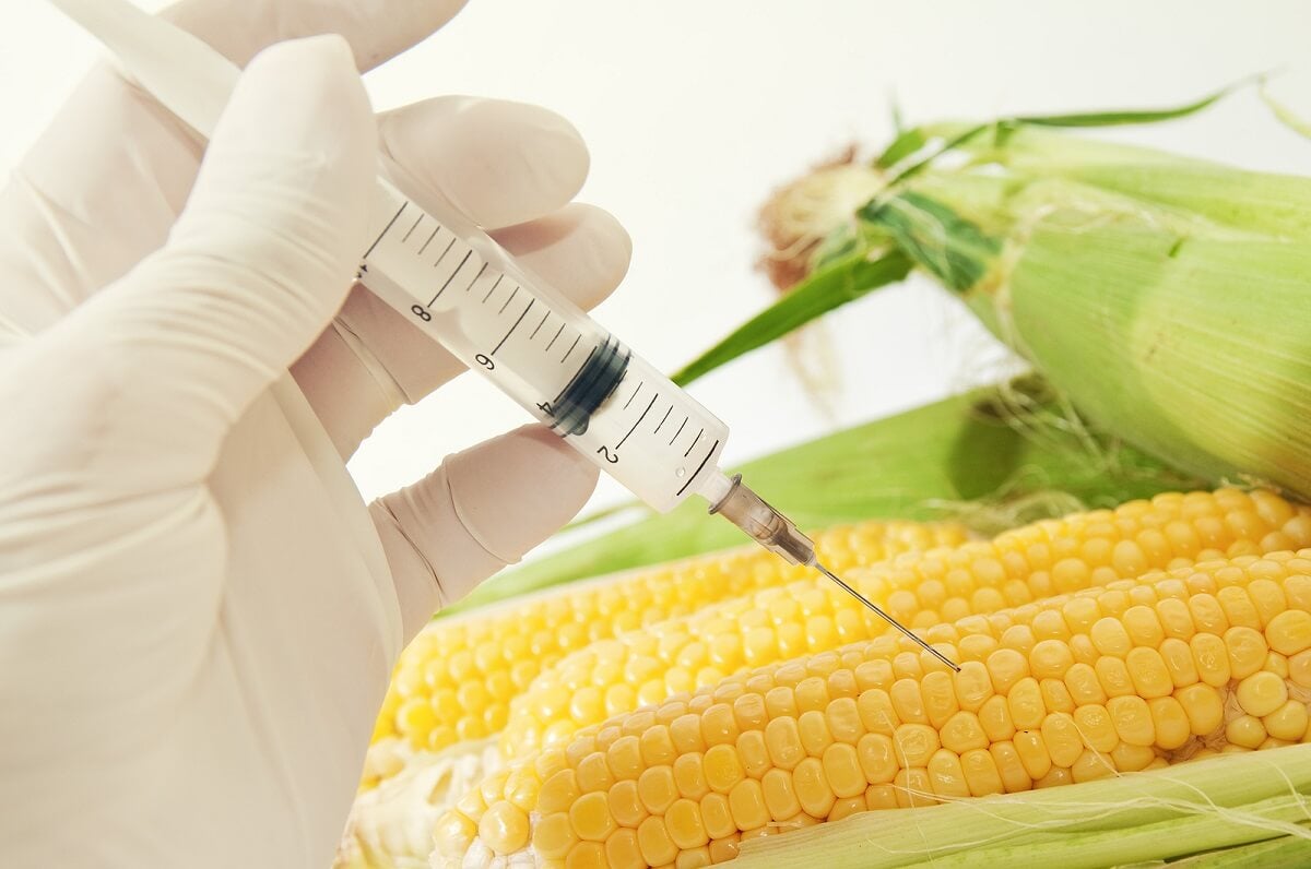 ¿Cómo identificar los alimentos genéticamente modificados?
