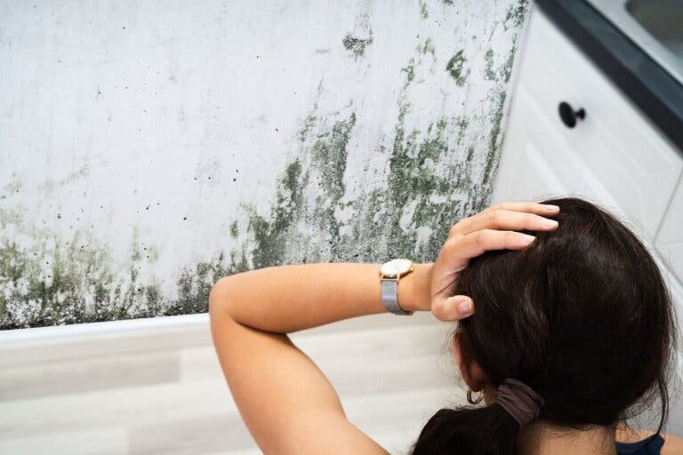 9 errores que hacen que se forme moho en el hogar