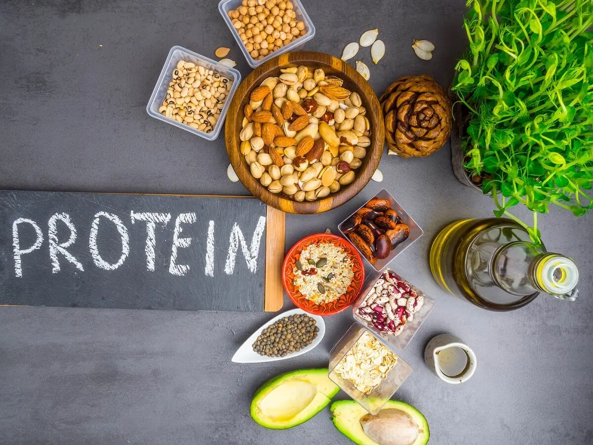 Diferencias entre proteínas completas e incompletas