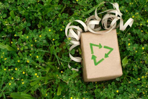 12 regalos ecológicos para obsequiar en Navidad