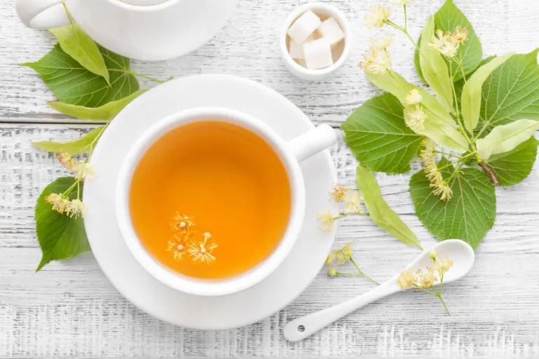 Té de tila: usos, beneficios y contraindicaciones