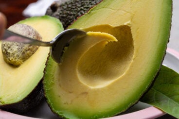 ¿El aguacate es una fruta o verdura?