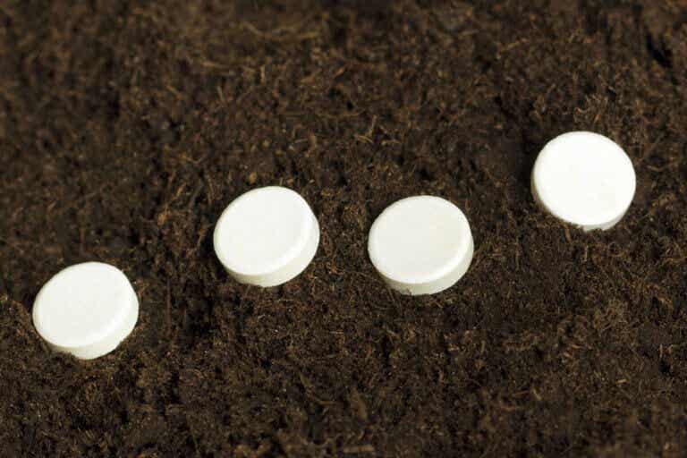 Does Aspirin Help Plants Root?