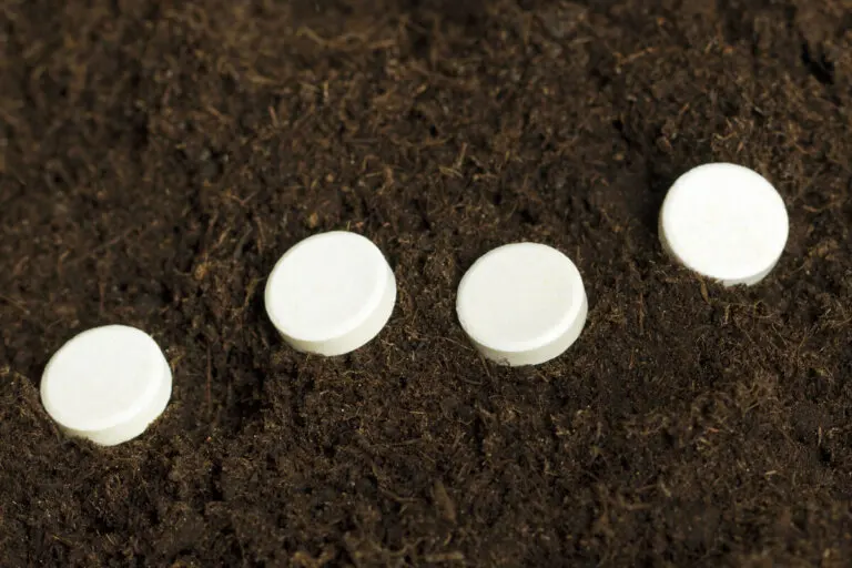 ¿La aspirina sirve para ayudar a enraizar las plantas?