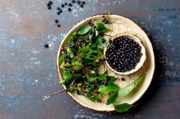 Baya Maqui: nutrientes, beneficios y usos