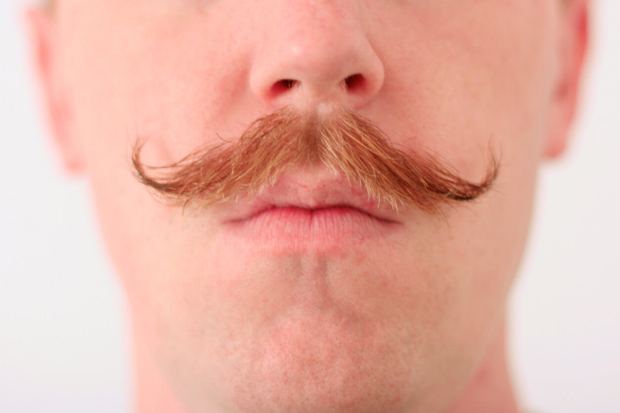 Manillar: uno de los estilos de bigote.