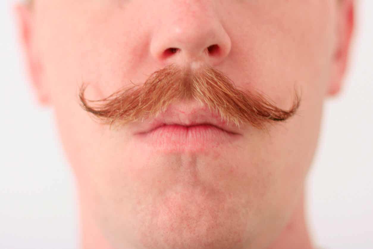 Manillar: uno de los estilos de bigote.
